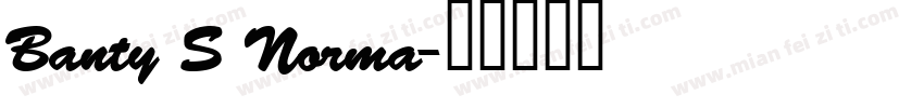 Banty S Norma字体转换